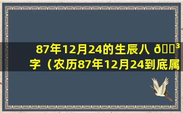 87年12月24的生辰八 🌳 字（农历87年12月24到底属什么生肖）